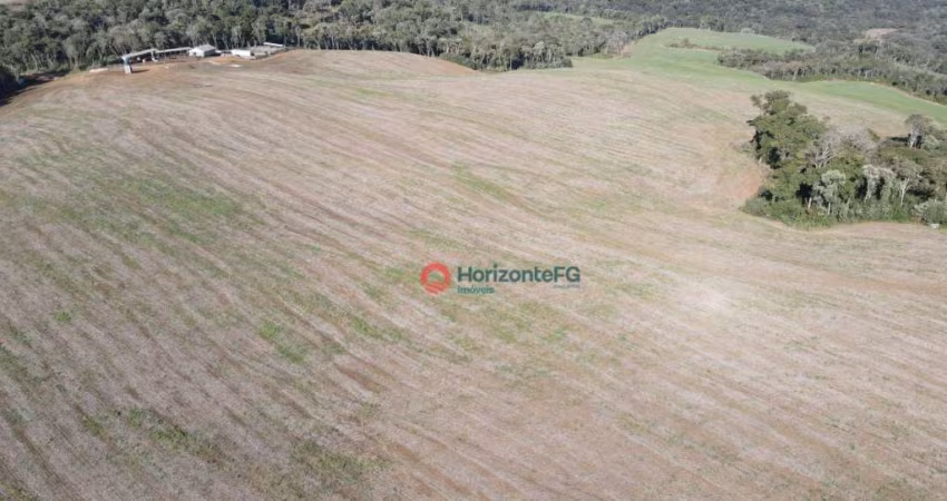 Sítio à venda, 37.8 alqueires por R$ 8.500.000 - Centro - Guará (Guarapuava)/PR