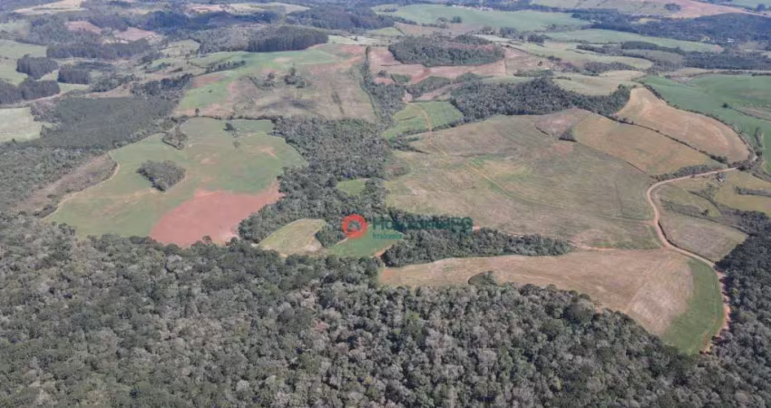 Fazenda à venda, 89 alqueires por r$ 10.500.000 - zona rural - guarapuava/pr