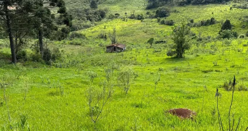 Chácara / sítio à venda na Área Rural de Guarapuava, Guarapuava 
