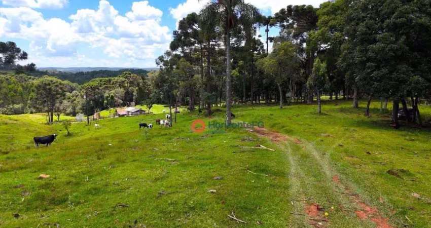 Chácara à venda, 18 alqueires por r$ 1.500.000,00 - zona rural - guarapuava/pr