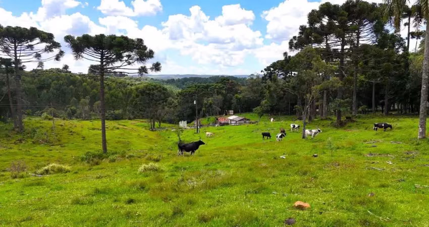 Chácara / sítio à venda na Área Rural de Guarapuava, Guarapuava 