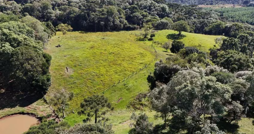 Chácara / sítio à venda na Área Rural de Guarapuava, Guarapuava 