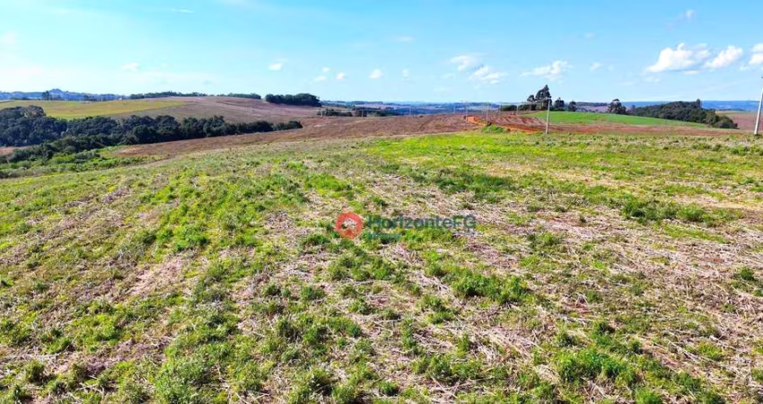 Chácara com 1 dormitório à venda, 435600 m² por R$ 4.230.000,00 - Zona Rural - Cantagalo/PR