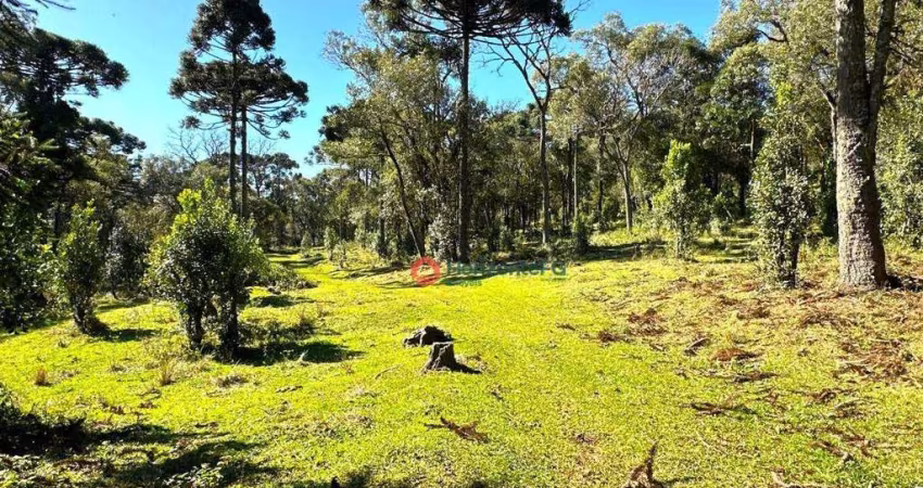 Chácara à venda, 29,03 alqueires por R$ 2.200.000 - Guará - Guarapuava/PR