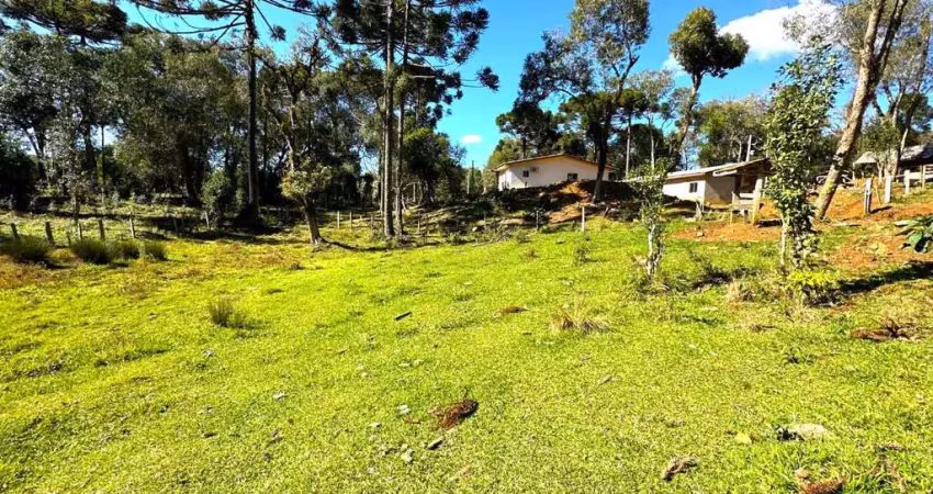 Chácara / sítio à venda na Área Rural de Guarapuava, Guarapuava 