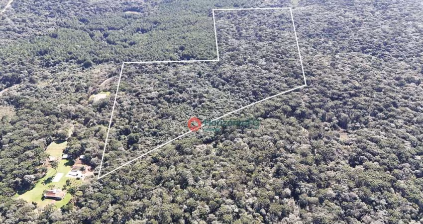 Área à venda, 13.28 Alqueire por R$ 850.000 - Palmeirinha - Guarapuava/PR