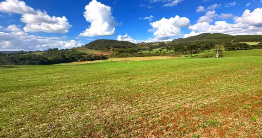 Chácara / sítio à venda na Área Rural de Guarapuava, Guarapuava 
