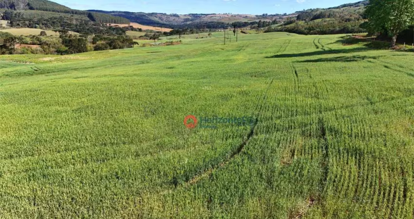 Chácara à venda, 10.6 alqueires por r$ 2.300.000 - zona rural - guarapuava/pr