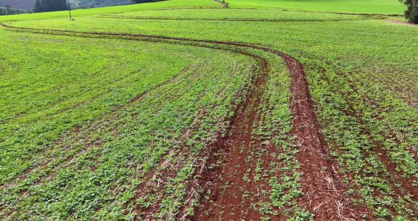 Chácara / sítio à venda na Área Rural de Guarapuava, Guarapuava 