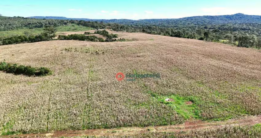 Fazenda à venda na Área Rural de Guarapuava, Guarapuava 
