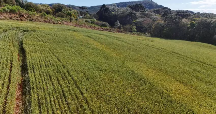 Chácara / sítio à venda na Área Rural de Guarapuava, Guarapuava 