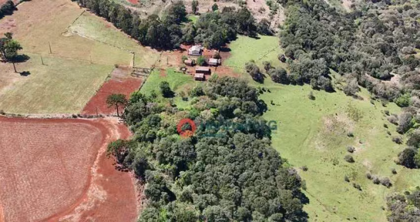 Chácara à venda, 4,5 alqueires por r$ 1.400.000 - zona rural - guarapuava/pr
