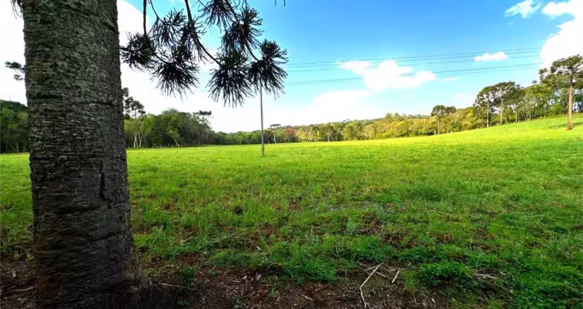 Chácara / sítio à venda na Zona Rural, Turvo 