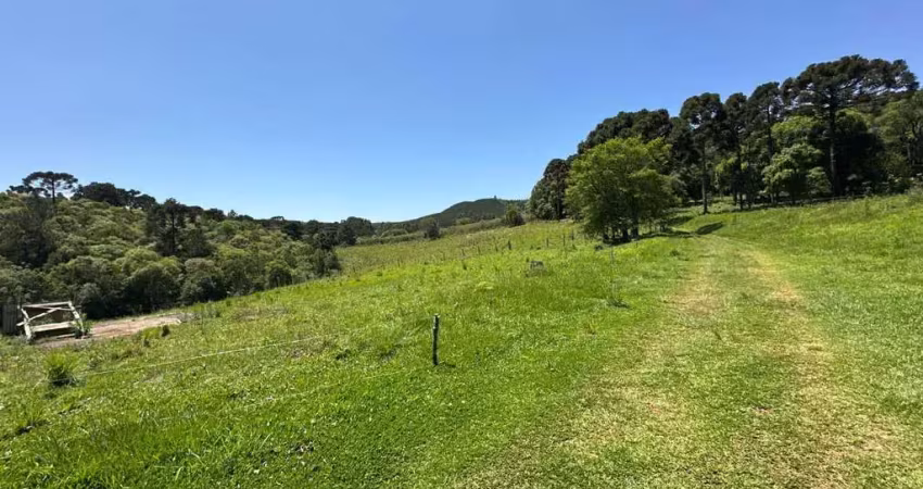 Chácara / sítio à venda na Área Rural de Guarapuava, Guarapuava 