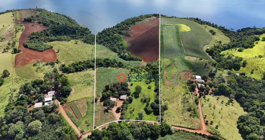 Chácara com 6 alqueires à venda, 145200 m² por R$ 500.000 - Alagado, Candói - Candói/PR