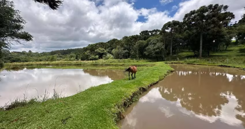 Chácara / sítio à venda na Área Rural de Guarapuava, Guarapuava 