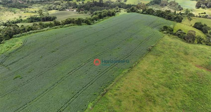 Chácara à venda, 07 alqueires por R$ 1.200.000 - Guairacá - Guarapuava/PR