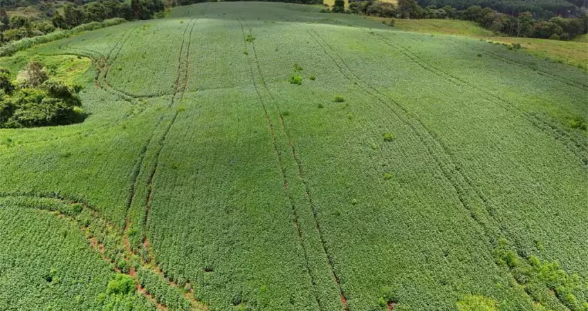 Chácara / sítio à venda na Área Rural de Guarapuava, Guarapuava 