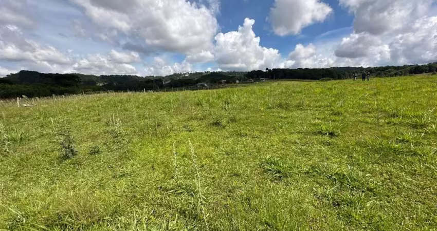 Chácara / sítio à venda na Área Rural de Guarapuava, Guarapuava 