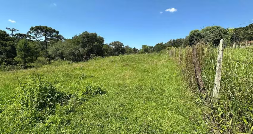 Chácara / sítio à venda na Área Rural de Guarapuava, Guarapuava 