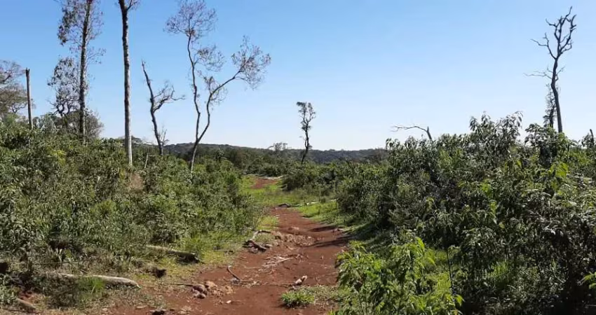 Chácara / sítio à venda na Área Rural de Guarapuava, Guarapuava 