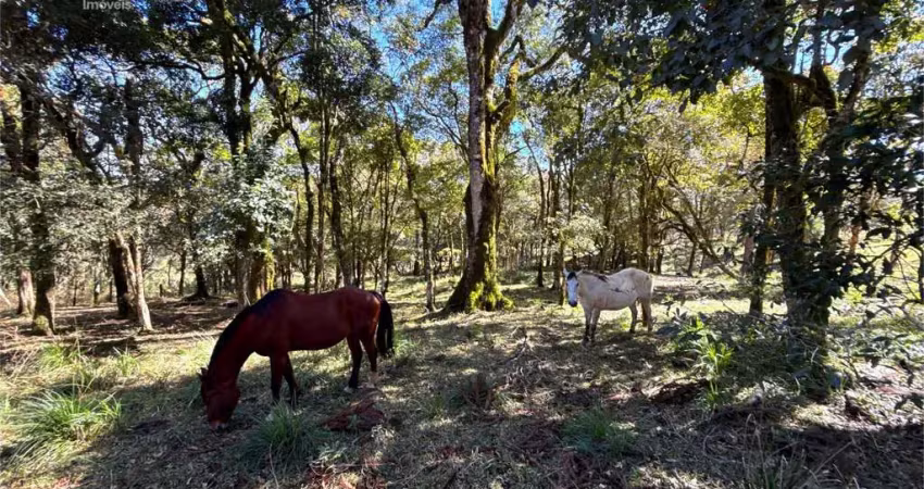Chácara / sítio à venda na Área Rural de Guarapuava, Guarapuava 