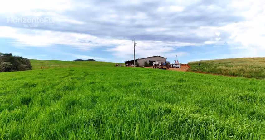 Chácara / sítio à venda na Área Rural de Guarapuava, Guarapuava 