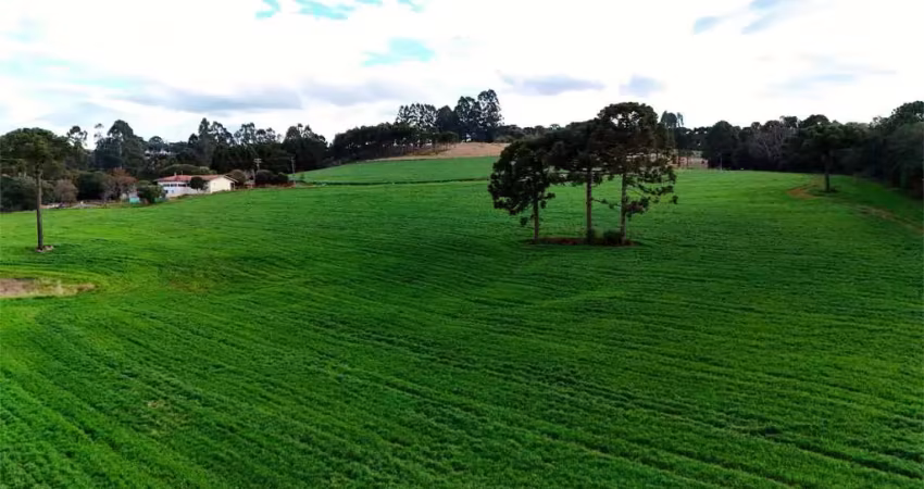 Chácara / sítio à venda na Área Rural de Guarapuava, Guarapuava 