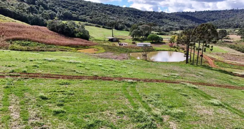 Chácara / sítio à venda na Área Rural de Guarapuava, Guarapuava 