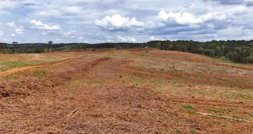 Chácara / sítio à venda na Área Rural de Guarapuava, Guarapuava 