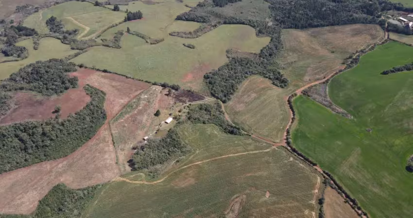 Chácara / sítio à venda na Área Rural de Guarapuava, Guarapuava 