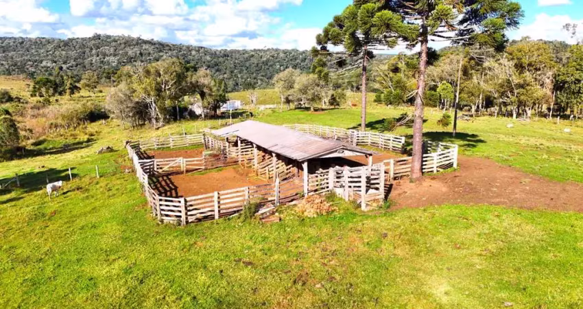 Chácara / sítio à venda na Área Rural de Guarapuava, Guarapuava 
