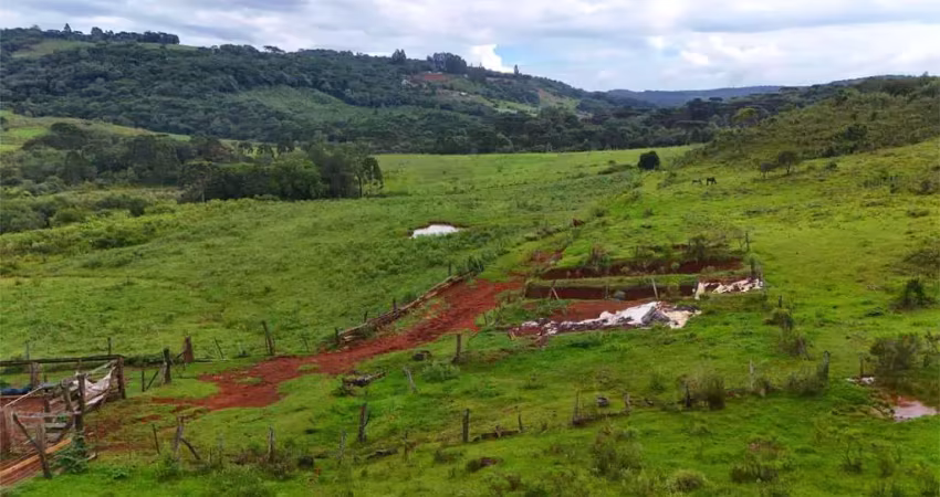 Chácara / sítio à venda na Área Rural de Guarapuava, Guarapuava 