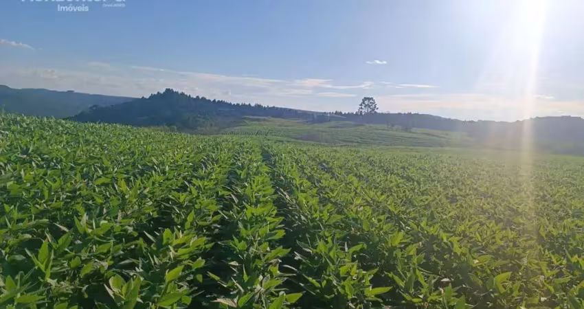 Chácara / sítio à venda na Área Rural de Guarapuava, Guarapuava 