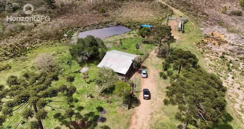 Chácara / sítio à venda na Área Rural de Guarapuava, Guarapuava 