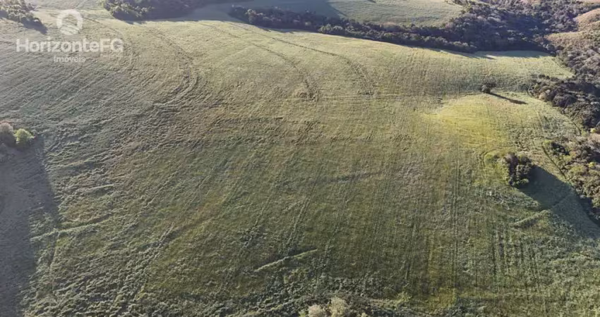 Chácara / sítio à venda na Área Rural de Guarapuava, Guarapuava 