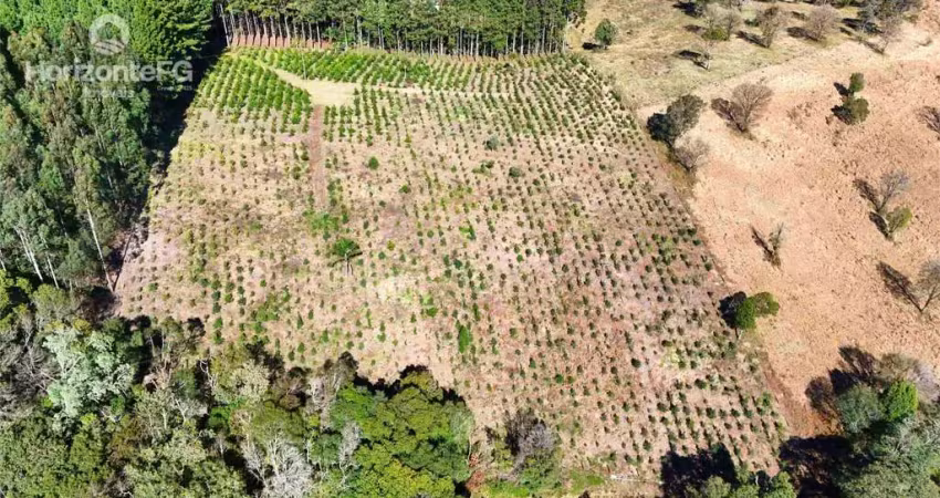 Chácara / sítio à venda na Área Rural de Guarapuava, Guarapuava 