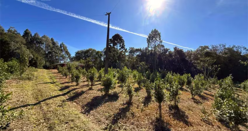 Chácara / sítio à venda na Área Rural de Guarapuava, Guarapuava 