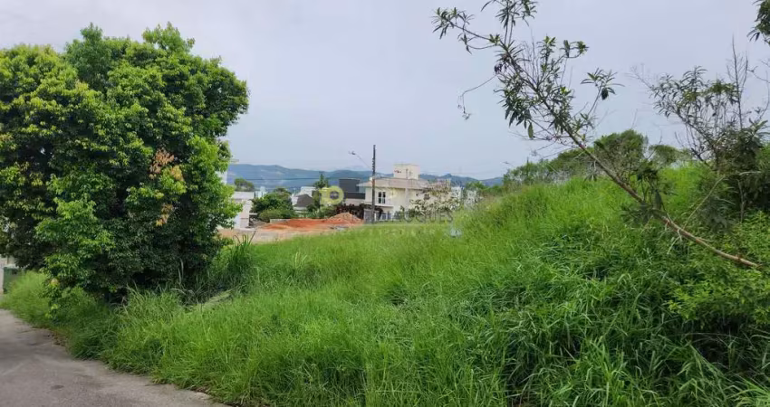Terreno à venda na Rua das Garças, 37, Pedra Branca, Palhoça