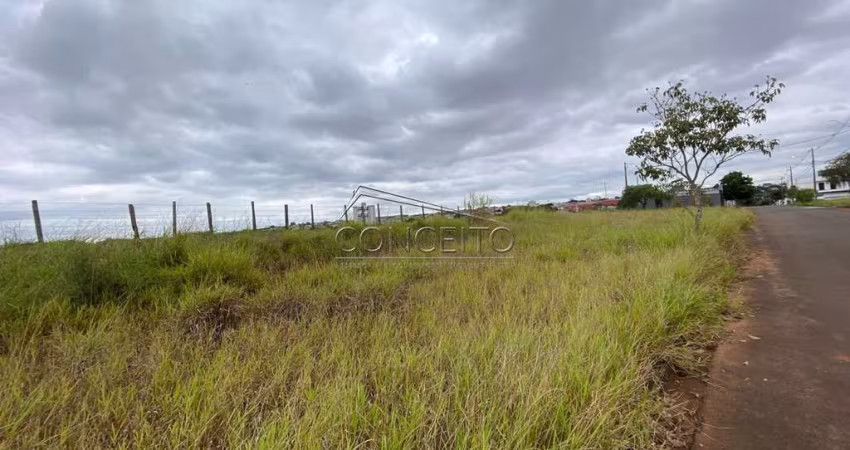 Terreno no bairro Água Branca com 1024 m² de área total, divididos em 3 lotes.