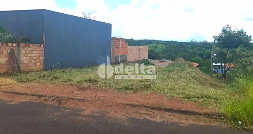 Terreno disponível para venda 250 m² no bairro Shopping Park em Uberlândia-MG