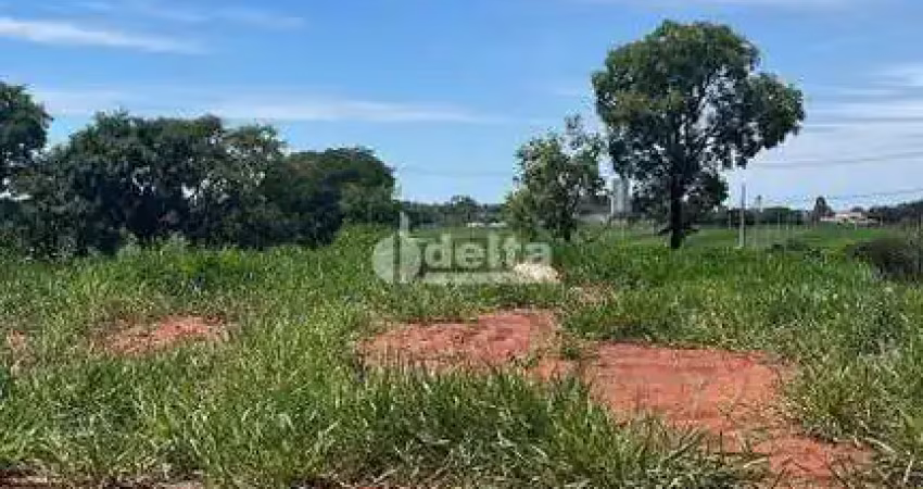 Terreno disponível para venda 250 m² no bairro loteamento luizote de freitas iv em uberlândia-mg