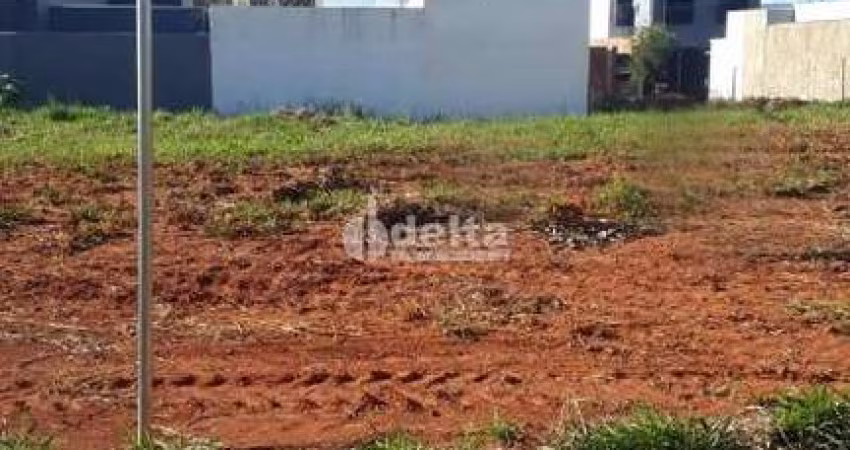 Terreno disponível para venda 250 m² no bairro Quinta Alto Umuarama em Uberlândia-MG