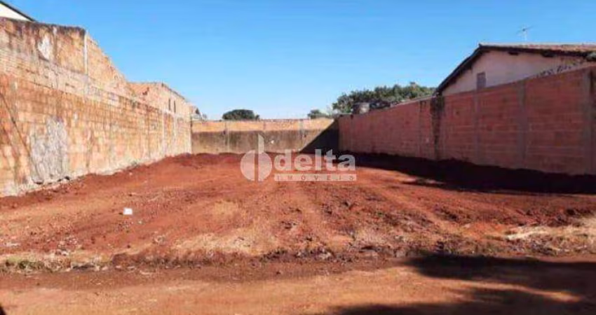 Terreno disponível para venda no bairro Segismundo Pereira em Uberlândia-MG