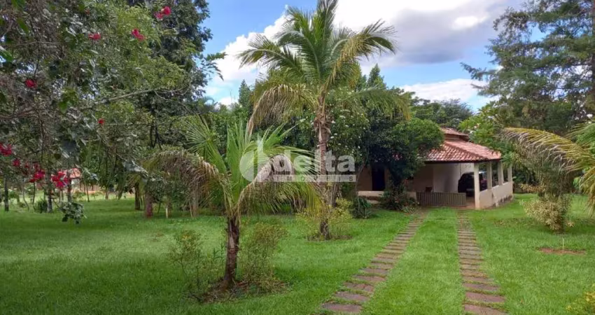 Chácara disponível para venda na zona rural de uberlândia em uberlândia-mg