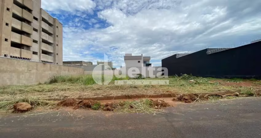 Terreno disponível para venda 300 m² no bairro novo mundo em uberlândia-mg