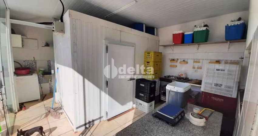 Casa Residencial Padrão em Uberlândia