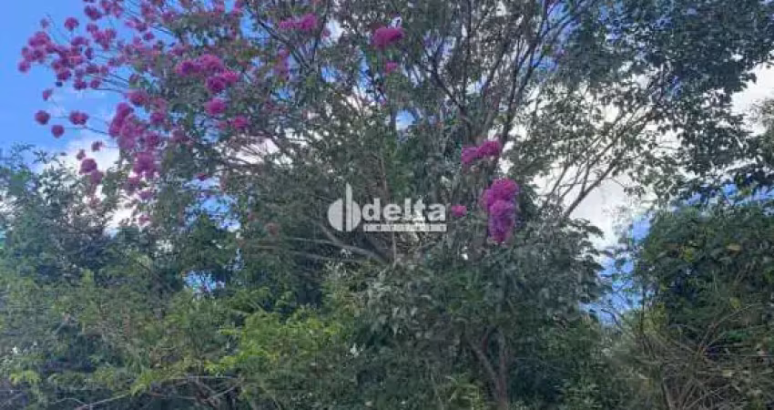 Chácara disponível para venda na região rural em uberlândia-mg