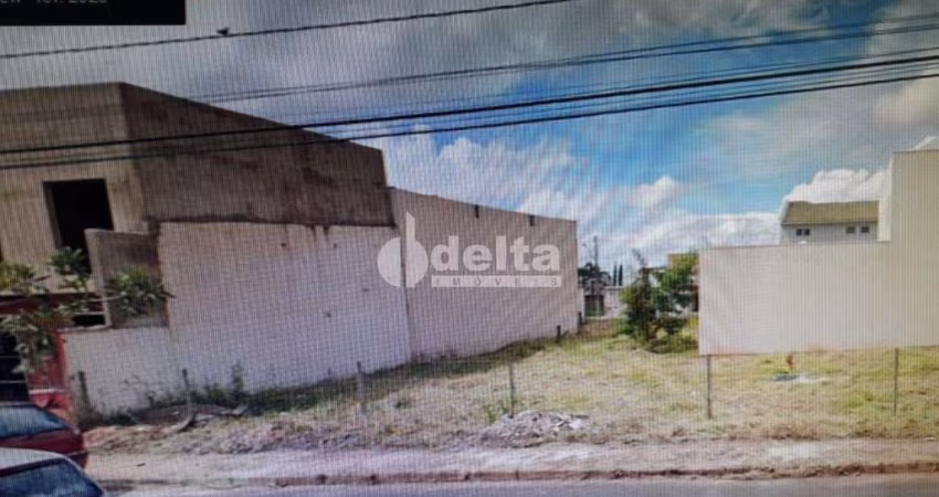 Terreno Padrão em Uberlândia