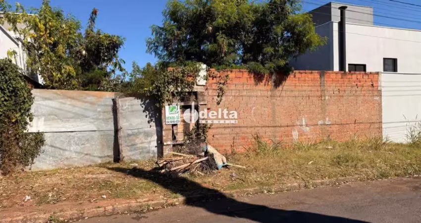 Terreno disponível para venda no bairro cidade jardim em uberlândia-mg